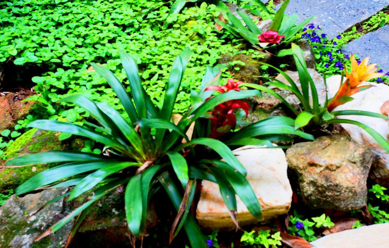 Pousada Casalinda Camburi Camburi  Exterior foto